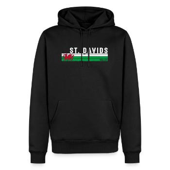 St. Davids Wales Gelassenheit an der Küste - Männer Premium Bio Hoodie - Schwarz - Vorne - Nico (187cm)