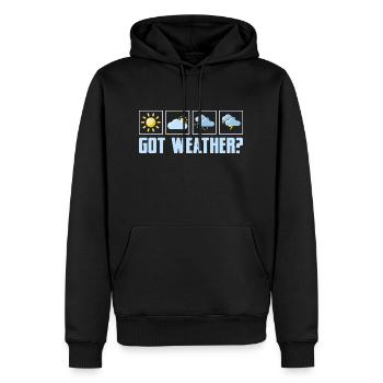 Got Weather? Meteorology Meteorologist - Men’s Premium Organic Hoodie - black - Front - Nico (187cm)