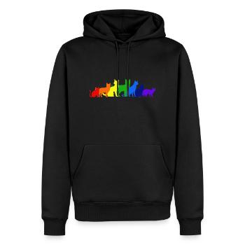 Regenbogen der Katzen - Männer Premium Bio Hoodie - Schwarz - Vorne - Nico (187cm)