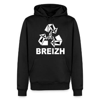 Breirzh Bretagne Triskel - Sweat à capuche Premium bio Homme - noir - Devant - Nico (187cm)