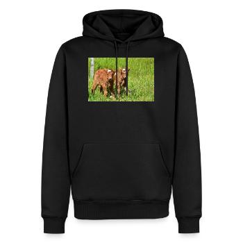 Kälber auf Eifeler Wiesen - Männer Premium Bio Hoodie - Schwarz - Vorne - Nico (187cm)