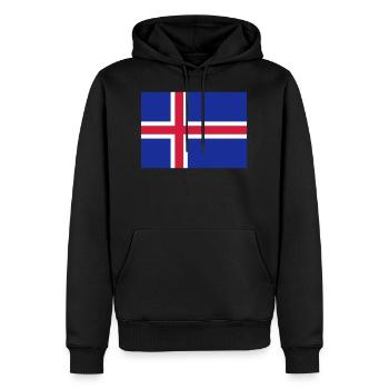 Maillot islandais - Sweat à capuche Premium bio Homme - noir - Devant - Nico (187cm)