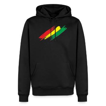 Barres de couleur rouge-jaune-vert avec des ombres - Sweat à capuche Premium bio Homme - noir - Devant - Nico (187cm)