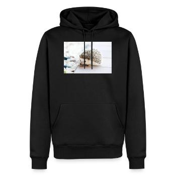 Igel im Morgengrauen - Männer Premium Bio Hoodie - Schwarz - Vorne - Nico (187cm)