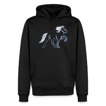 Wind Icelanders - Men’s Premium Organic Hoodie - black - Front - Nico (187cm)