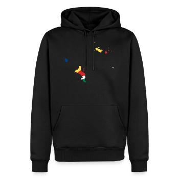 Seychelles flag - Männer Premium Bio Hoodie - Schwarz - Vorne - Nico (187cm)