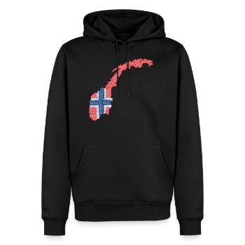 Norvège, Norvège drapeau, norvégien,norvège fan - Sweat à capuche Premium bio Homme - noir - Devant - Nico (187cm)