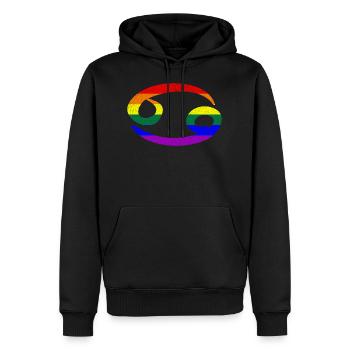 Signe lgbt de zodiaque de drapeau de fierté gaie - Sweat à capuche Premium bio Homme - noir - Devant - Nico (187cm)