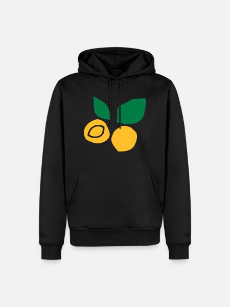 Apricot fruit c2 - Men’s Premium Organic Hoodie - black
