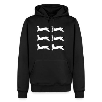 Ostrobotnie du Nord - Sweat à capuche Premium bio Homme - noir - Devant - Nico (187cm)