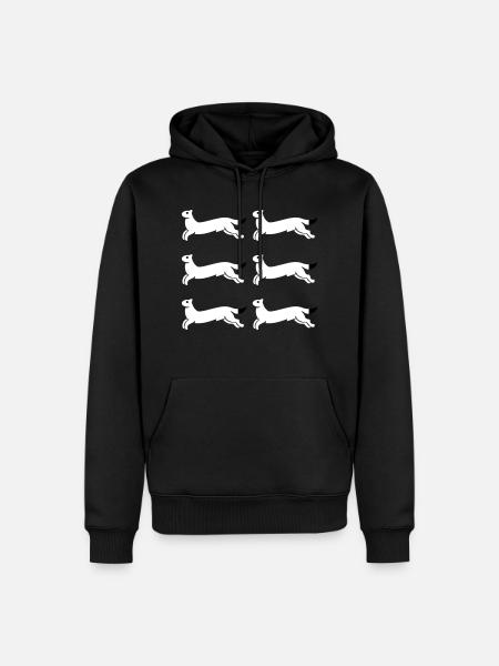 North Ostrobothnia - Men’s Premium Organic Hoodie - black