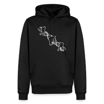 Eishockey Wintersport Geschenk Eishockeyteam - Männer Premium Bio Hoodie - Schwarz - Vorne - Nico (187cm)