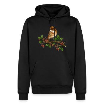 Colorful bird - Men’s Premium Organic Hoodie - black - Front - Nico (187cm)