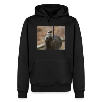 000 3550 NEF - Men’s Premium Organic Hoodie - black - Front - Nico (187cm)