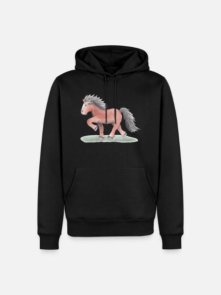 Kleiner Islaender Watercolor - Herre Premium økologisk hoodie - sort