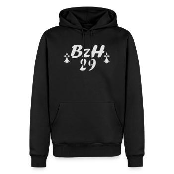 29 Bretagne BZH 2 - Sweat à capuche Premium bio Homme - noir - Devant - Nico (187cm)