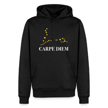 Carpe Diem nutze den Tag Sternbild Fische Horoskop - Männer Premium Bio Hoodie - Schwarz - Vorne - Nico (187cm)