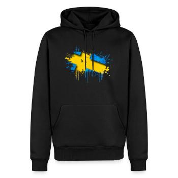 Suède Suède Scandinavie Pays nordiques Viking Europe - Sweat à capuche Premium bio Homme - noir - Devant - Nico (187cm)
