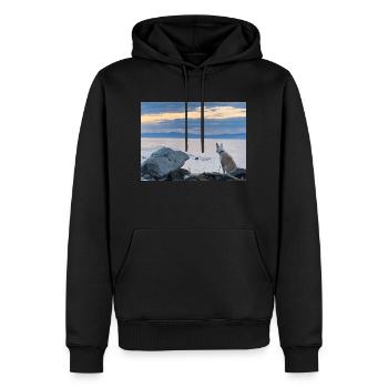 Mr. Charly on the Beach - Männer Premium Bio Hoodie - Schwarz - Vorne - Nico (187cm)