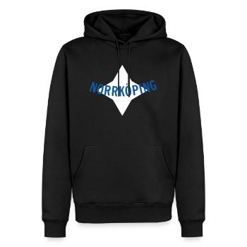 Norrköping - Männer Premium Bio Hoodie - Schwarz - Vorne - Nico (187cm)