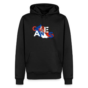 Cannes Bébé - Sweat à capuche Premium bio Homme - noir - Devant - Nico (187cm)