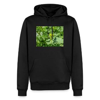 moutarde noire (en allemand Schwarzer Senf) Rhamphosp - Sweat à capuche Premium bio Homme - noir - Devant - Nico (187cm)