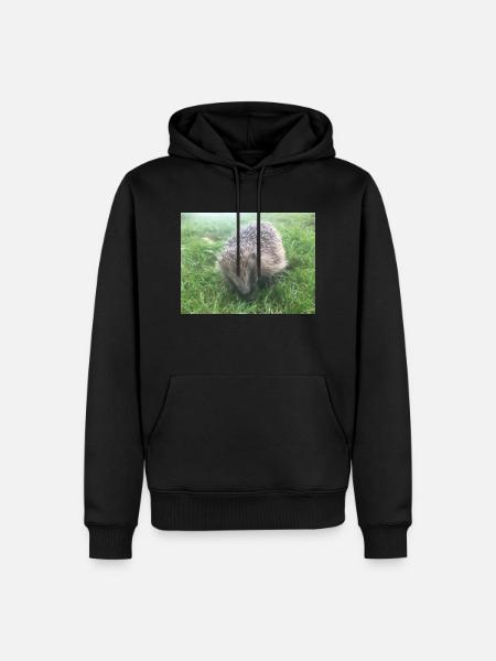 Hedgehog Cotswolds - Men’s Premium Organic Hoodie - black