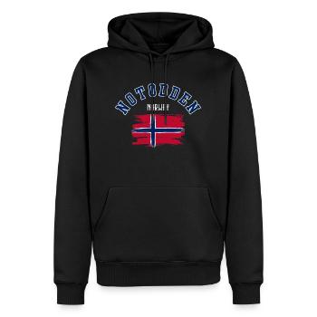 Notoden, Norvège - Sweat à capuche Premium bio Homme - noir - Devant - Nico (187cm)