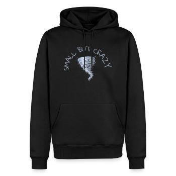 Petit mais fou - Sweat à capuche Premium bio Homme - noir - Devant - Nico (187cm)