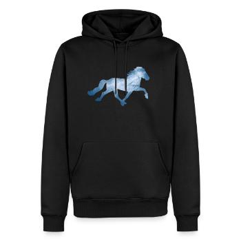 Isländer Rennpass Gletscher 2 - Männer Premium Bio Hoodie - Schwarz - Vorne - Nico (187cm)