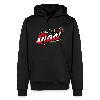Oida! Österreich Dialekt Slang Lässig - Männer Premium Bio Hoodie - Schwarz - Vorne - Nico (187cm)