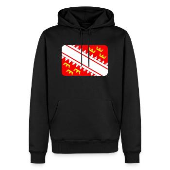ALSACE FLAG round corner 400 dpi - Männer Premium Bio Hoodie - Schwarz - Vorne - Nico (187cm)
