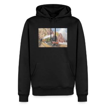 Riviera de Cornouailles - Sweat à capuche Premium bio Homme - noir - Devant - Nico (187cm)