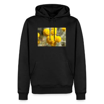Lavender cotton or Grey santolina Heiligenkraut - Männer Premium Bio Hoodie - Schwarz - Vorne - Nico (187cm)
