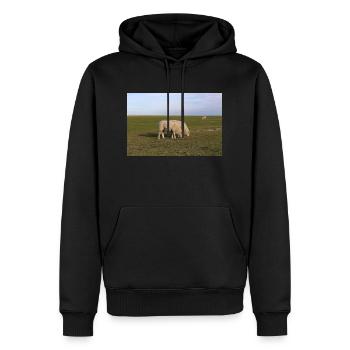 Grasende Schafe auf Nordseeinsel Pellworm - Männer Premium Bio Hoodie - Schwarz - Vorne - Nico (187cm)