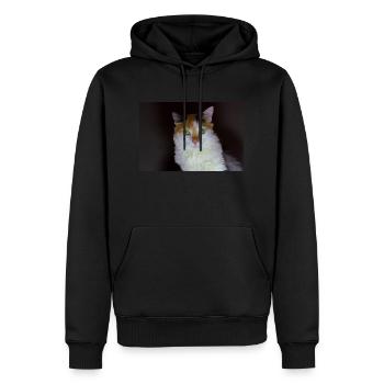 the cat with the sweet look - Men’s Premium Organic Hoodie - black - Front - Nico (187cm)