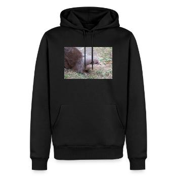 Asian small-clawed otter Zwergotter - Männer Premium Bio Hoodie - Schwarz - Vorne - Nico (187cm)