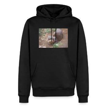 Asiatischer Kleinkrallenotter Zwergotter - Männer Premium Bio Hoodie - Schwarz - Vorne - Nico (187cm)