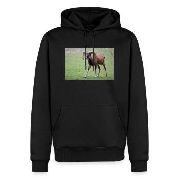 European mouflon Europäischer Mufflon - Männer Premium Bio Hoodie - Schwarz - Vorne - Nico (187cm)