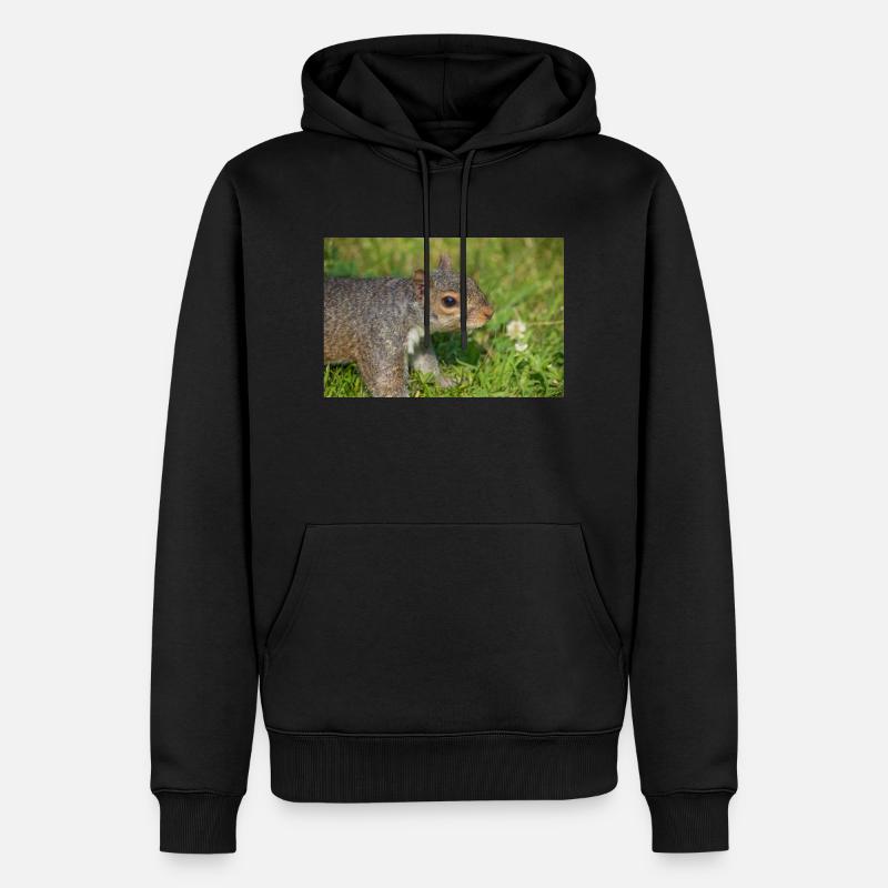 Grey squirrel Grauhörnchen Sciurus carolinensis - Men’s Premium Organic Hoodie - black