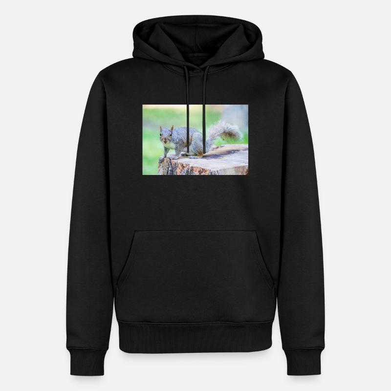 Grauhörnchen Sciurus carolinensis - Männer Premium Bio Hoodie - Schwarz