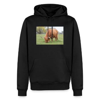 Ein Hochlandrind in den schottischen Highlands - Männer Premium Bio Hoodie - Schwarz - Vorne - Nico (187cm)