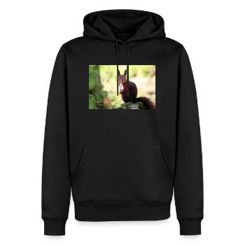 Eichhörnchen - Männer Premium Bio Hoodie - Schwarz - Vorne - Nico (187cm)
