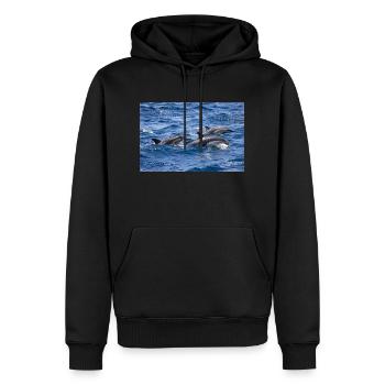 Dauphins - Sweat à capuche Premium bio Homme - noir - Devant - Nico (187cm)