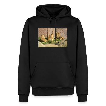 pride of lions CSC 0875 - Men’s Premium Organic Hoodie - black - Front - Nico (187cm)