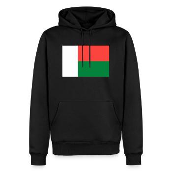 Drapeau Madagascar - Sweat à capuche Premium bio Homme - noir - Devant - Nico (187cm)