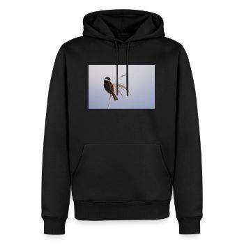 Bunting On Reeds - Men’s Premium Organic Hoodie - black - Front - Nico (187cm)