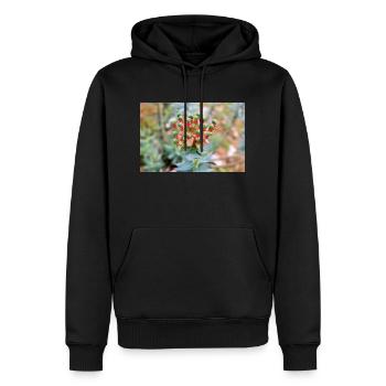 fleur colorée Wolfsmilch (Euphorbia) en fleurs - Sweat à capuche Premium bio Homme - noir - Devant - Nico (187cm)