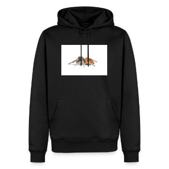Springspinne Phidippus texanus jumping spider - Männer Premium Bio Hoodie - Schwarz - Vorne - Nico (187cm)