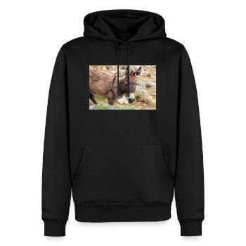 Esel auf dem Feld Landschaft Insel Mykonos Süd A - Männer Premium Bio Hoodie - Schwarz - Vorne - Nico (187cm)